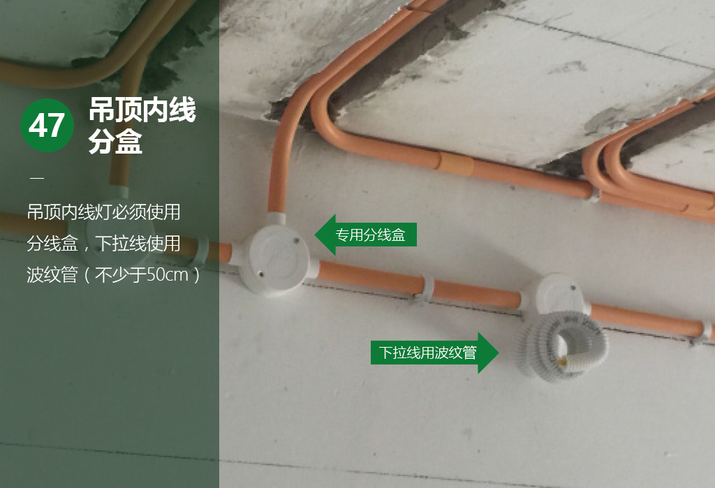 橫版51.jpg