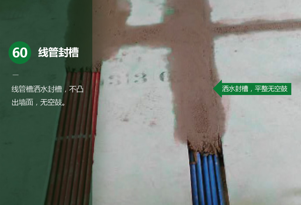 橫版64.jpg