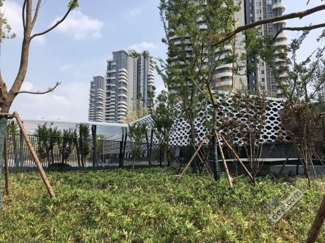微信圖片_20180621205537.jpg
